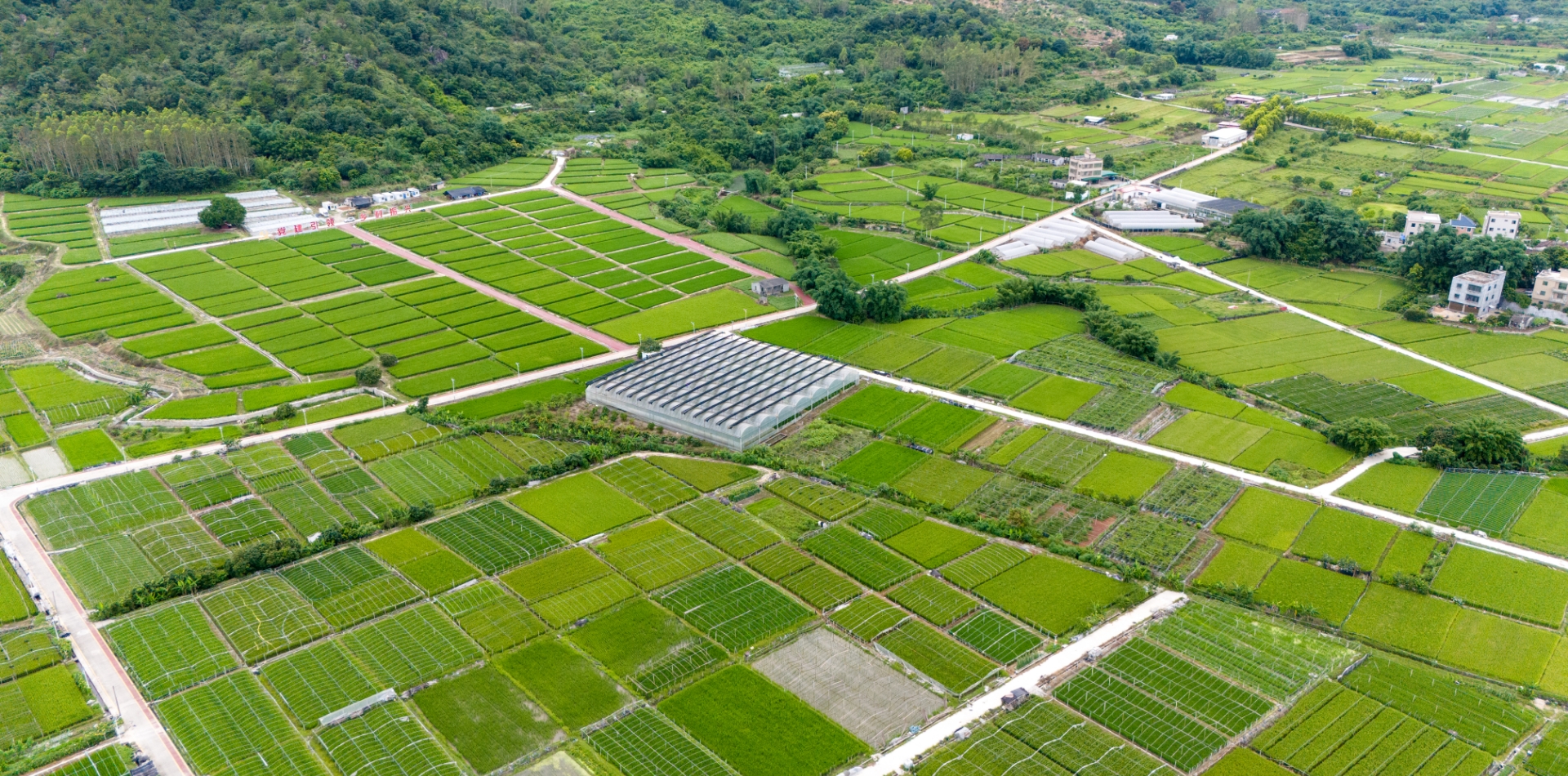 服務未來農業、共建生態家園